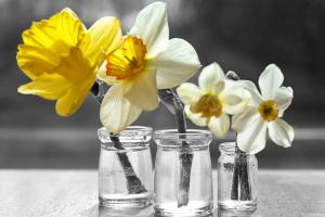 Friday Round-Up: The Best in Personal Finance Blogs