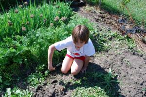 Helping Your Kids Learn About Investing Through Gardening